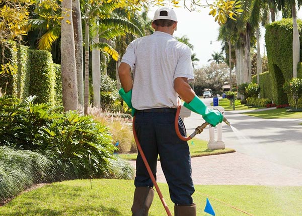 About York Springs PA Pest Control
